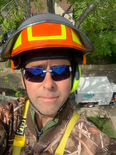 Jon Stauffer - President of Majestic Tree Care Specialists LLC