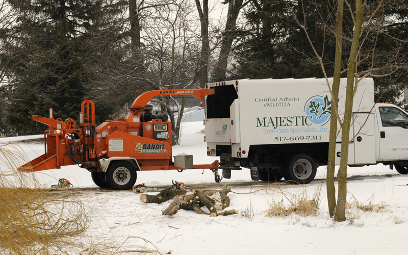Majestic Tree Care Specialists For All of Your Tree Care Needs
