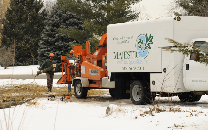 Majestic Tree Care Specialists For All of Your Tree Care Needs